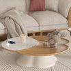 Nordic Coffee Table with the Side Table