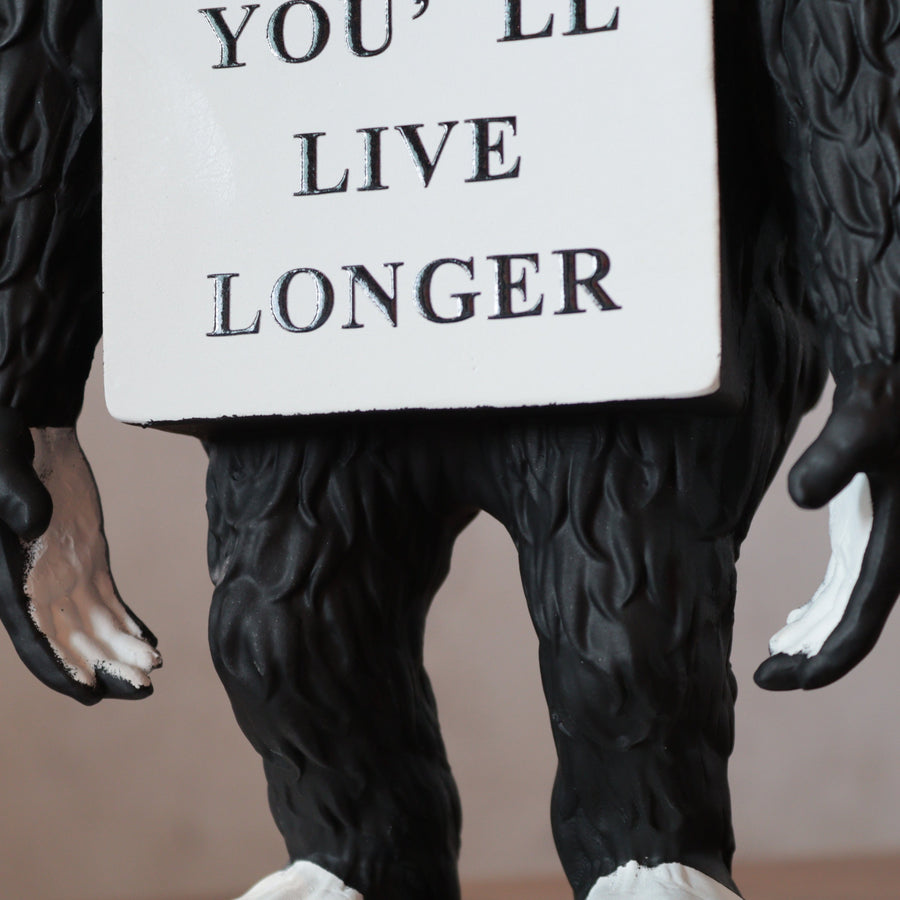 Message of the Ape